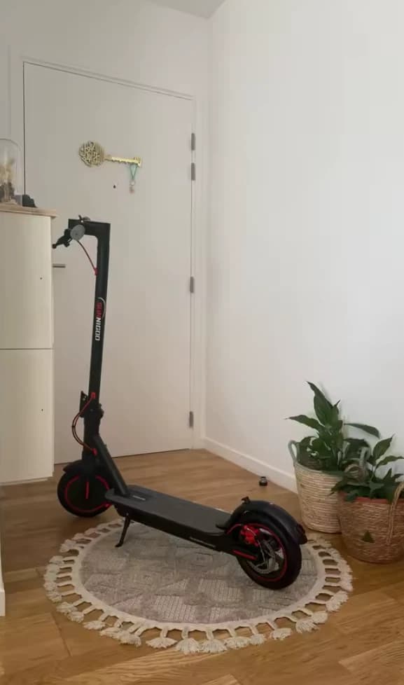 Trottinette électrique Segway-Ninebot