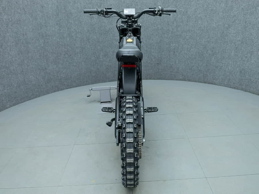 E RIDE PRO SR 16"/19" SPECIAL EDITION — photo 3