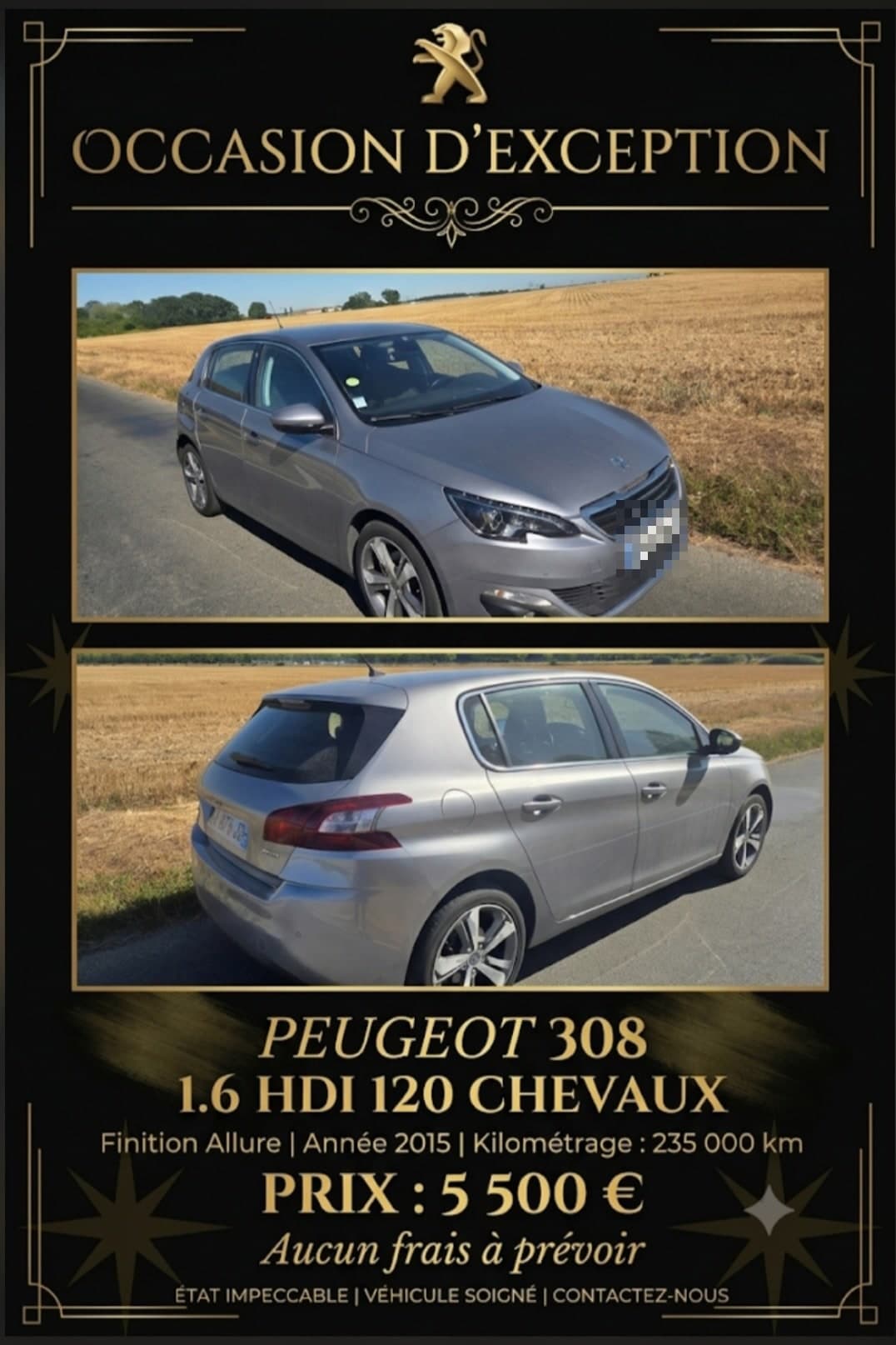 308 1,6 l hdi 120 chevaux allure à Lisses — 5 500 €