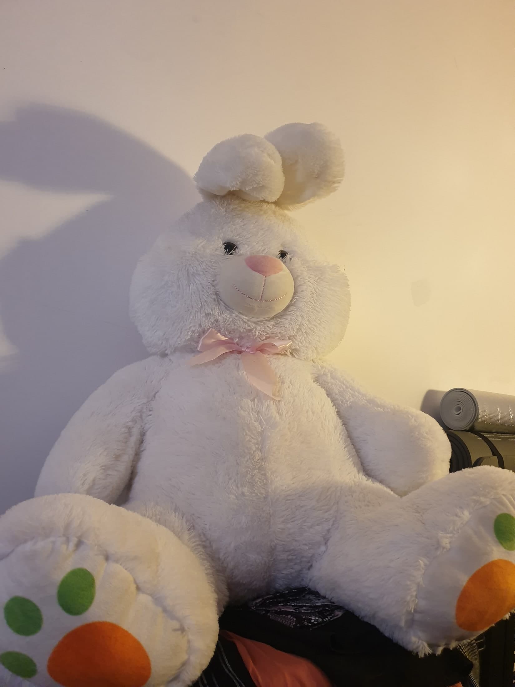 Peluche à 89100 sens — 10 €
