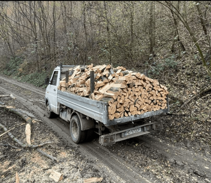 Bois de qualité bien sec et prêt à l'emploi — photo 3